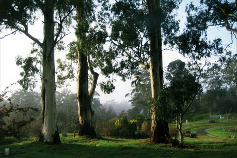 Tasmanian Arboretum Inc. - The - Accommodation VIC 1