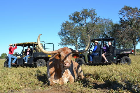 Texas Longhorn Tours - Accommodation VIC 1