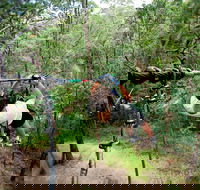 TreeTop Challenge - Accommodation VIC