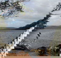 Walpole-Nornalup Inlet - Accommodation VIC
