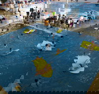 Wodonga Sports and Leisure Centre - Accommodation VIC