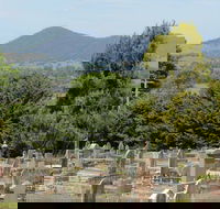 Yackandandah Cemetery - Accommodation VIC