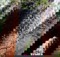 Ancient Empire Walk Valley of the Giants - Accommodation VIC