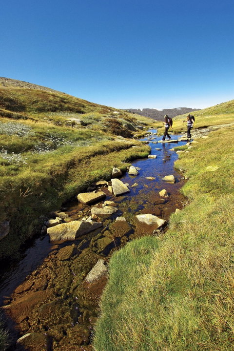 Australian Alps Walking Track - Accommodation VIC 0