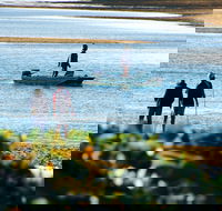 Ayr - Accommodation VIC