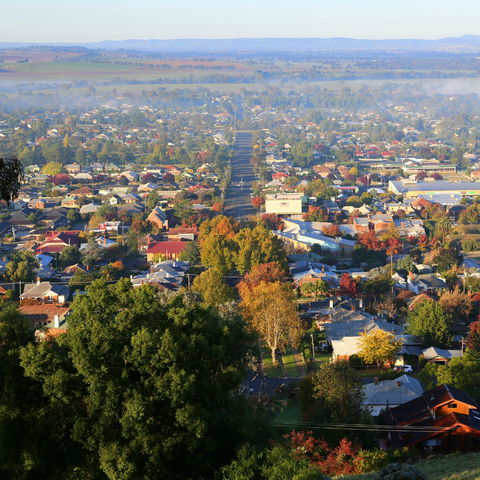 Bellevue Hill Reserve - Accommodation VIC 1