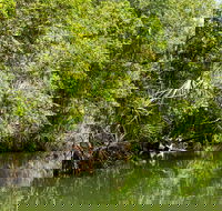 Berry Springs Nature Park - Accommodation VIC