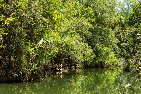 Berry Springs Nature Park - Accommodation VIC 0