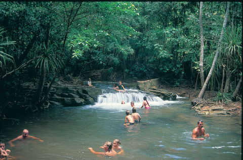 Berry Springs Nature Park - Accommodation VIC 1