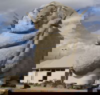 Big Merino - Accommodation VIC