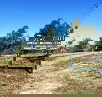 Bindea Walking Track - Accommodation VIC