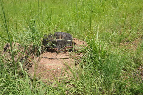 Brocks Creek Chinatown And Temple Site - Accommodation VIC 0