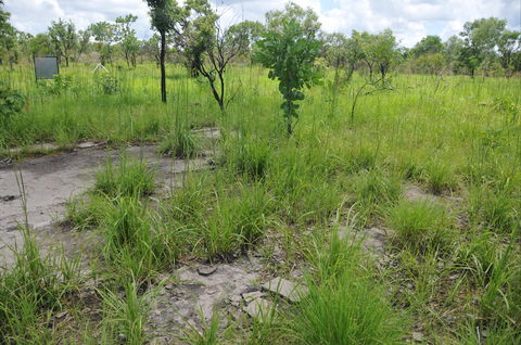 Brocks Creek Chinatown And Temple Site - Accommodation VIC 2