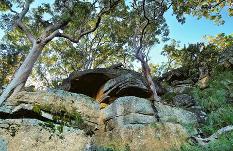 Burrawang Reach Picnic Area - Accommodation VIC 0
