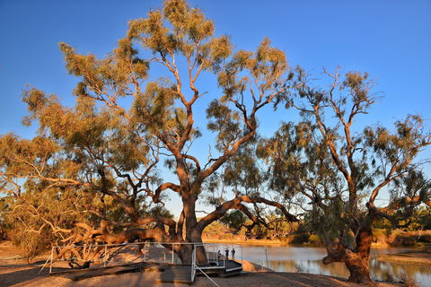 Burke And Wills Dig Tree - Accommodation VIC 0
