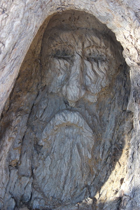 Burke And Wills Dig Tree - Accommodation VIC 2