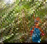 Canungra - Accommodation VIC