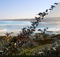 Cape Conran Coastal Park - Accommodation VIC