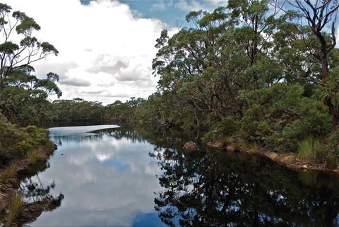 Cape Conran Coastal Park - Accommodation VIC 2