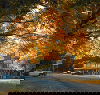 Carcoar - Accommodation VIC