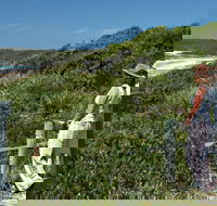Conjola Beach Picnic Area - Accommodation VIC