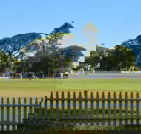 Cootamundra Cricketing Exploration - Accommodation VIC