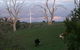 Crookwell Wind Farm - thumb 1