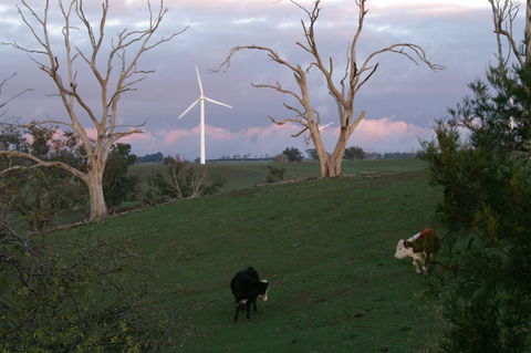 Crookwell Wind Farm - Accommodation VIC 1