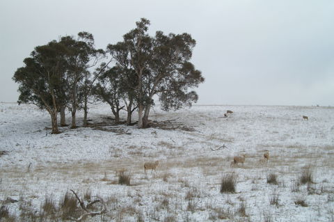 Crookwell Wind Farm - Accommodation VIC 2