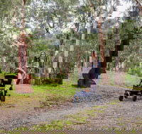 Currawong Bush Park - Accommodation VIC