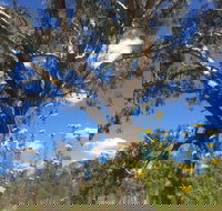 Euroa Arboretum - Accommodation VIC