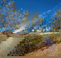 Freshwater Creek Track Byfield National Park - Accommodation VIC
