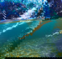 Glenreagh - Accommodation VIC