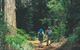 Gloucester National Park - thumb 0