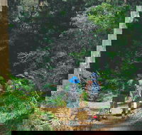 Gloucester National Park - Accommodation VIC