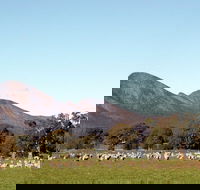 Grampians - Accommodation VIC
