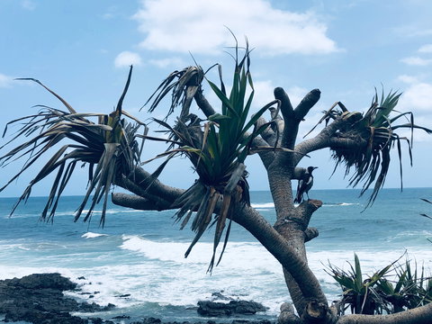 Hastings Point Beach - Accommodation VIC 0
