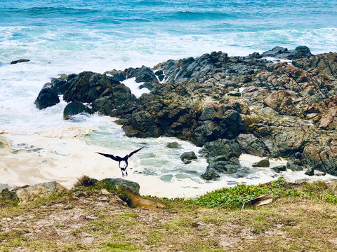 Hastings Point Beach - Accommodation VIC 2