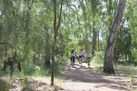 Hay Free Push Bikes - Accommodation VIC 0