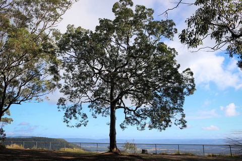 Heaton State Forest - Watagan Mountains - Accommodation VIC 2