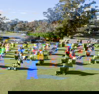 Hello Koalas Sculpture Trail - Accommodation VIC