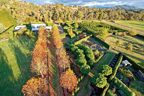 High Country Maze - Accommodation VIC 1