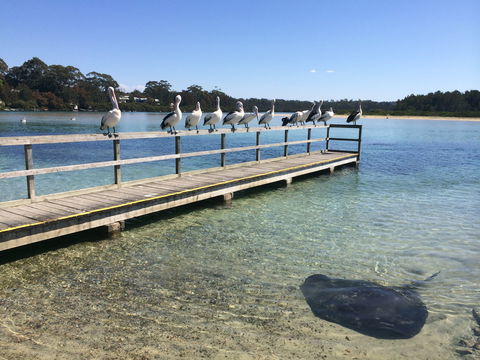 Kayaking Tomaga River - Accommodation VIC 2