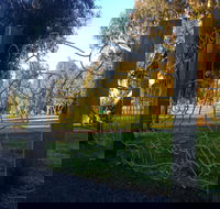 Mansfield Botanic Park - Accommodation VIC