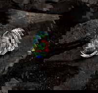 Matthew Ely - Accommodation VIC