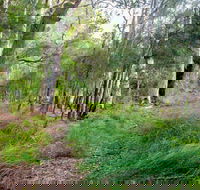 Meroo Lake walking track - Accommodation VIC