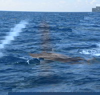 Minyama - Accommodation VIC