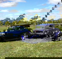 Moree Motor Enthusiasts - Accommodation VIC