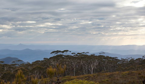 Mount Budawang Trail - Accommodation VIC 0