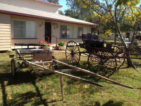 Mr And Mrs Behan Sulky Display - Accommodation VIC 0